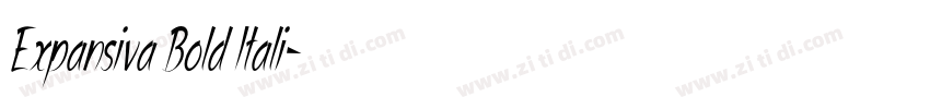 Expansiva Bold Itali字体转换